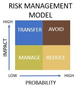 risk management model